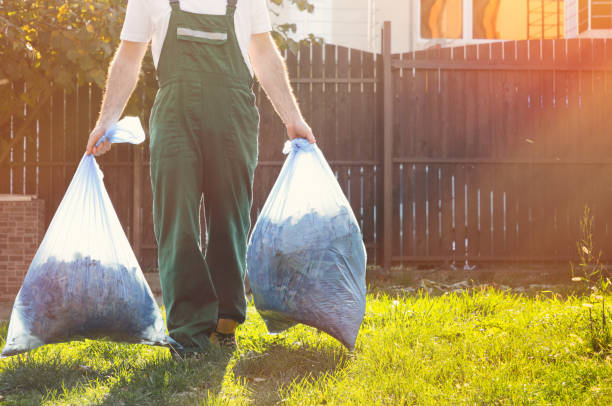 Best Dumpster Rental Services  in Berrien Springs, MI